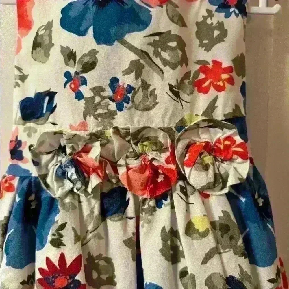 Girls Children’s Place Dress with slip underneith for a little poof size 24m